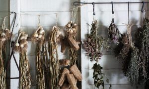 how to dry herbs