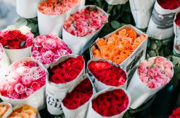 Rose colours and their meanings