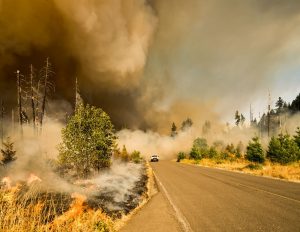 a wild fire with a car driving away from the smoke