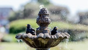 garden water feature