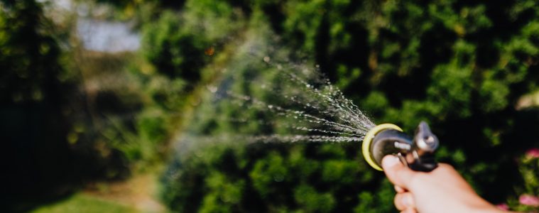 The best time of the day to water your garden 1