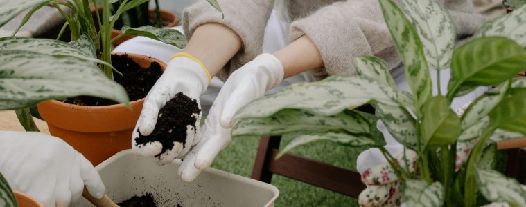 a gardener preparing a container for gardening