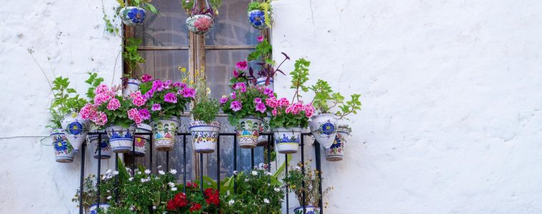 growing a balcony garden