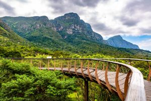 Kirstenbosch Botanical Garden in Cape Town city.