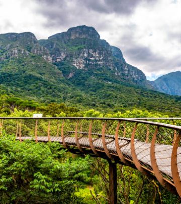 Kirstenbosch Botanical Garden in Cape Town city.