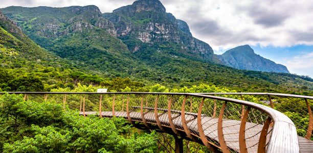 Kirstenbosch Botanical Garden in Cape Town city.