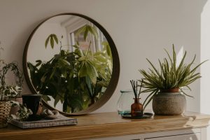 Feng shui houseplants (1)