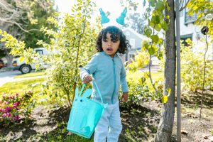 Get your garden ready for an Easter egg hunt