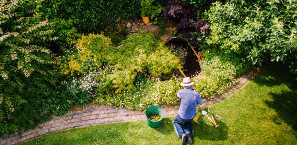 Aerial view of a man maintaining his garden lawn.