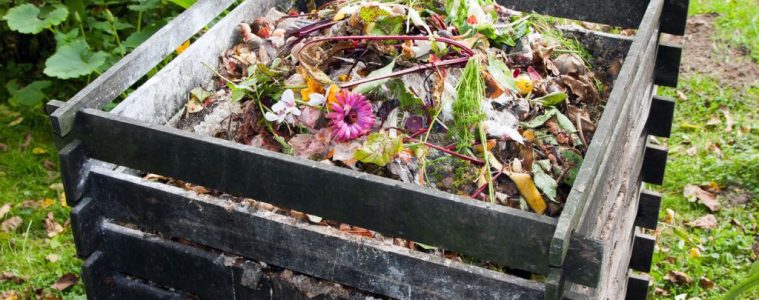 Mindful ways to use garden waste