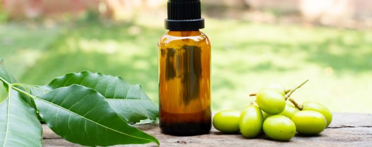 Neem oil