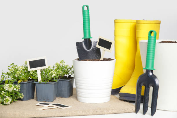 Gardening tools with white background