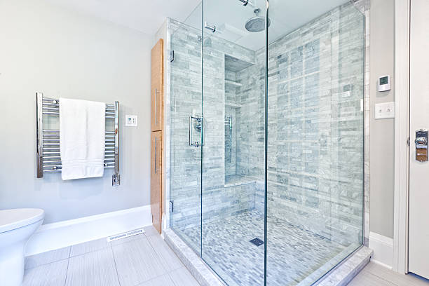 Contemporary interior bathroom design with glass enclosed shower still with Heated towel rack hanger. 