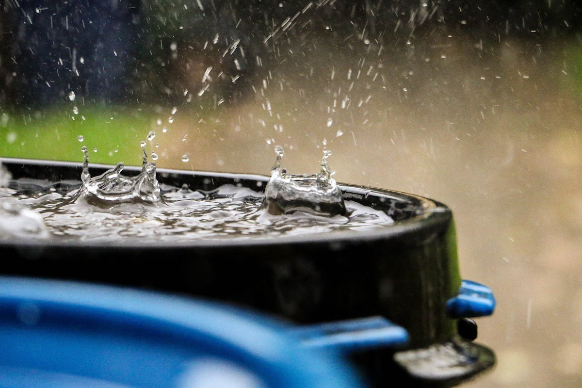 Water-saving tips for your home and garden