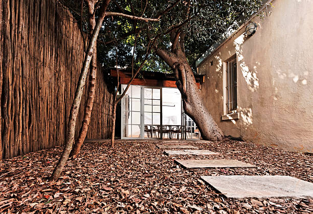 Woodchip pathway with some stones placed on top it