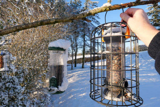Someone hanging out bird feeders in snowy winter weather. 