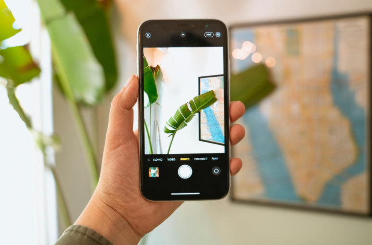 10 best plant apps