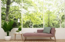 Daybed in living room and nature view - Living room in house or apartment on forest view