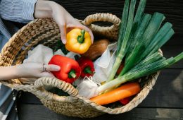 Edible garden benefits