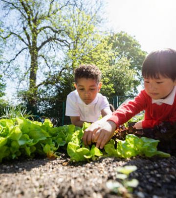 A low angle of two schoolboys planting seedlings and doing gardening together in the school garden.
