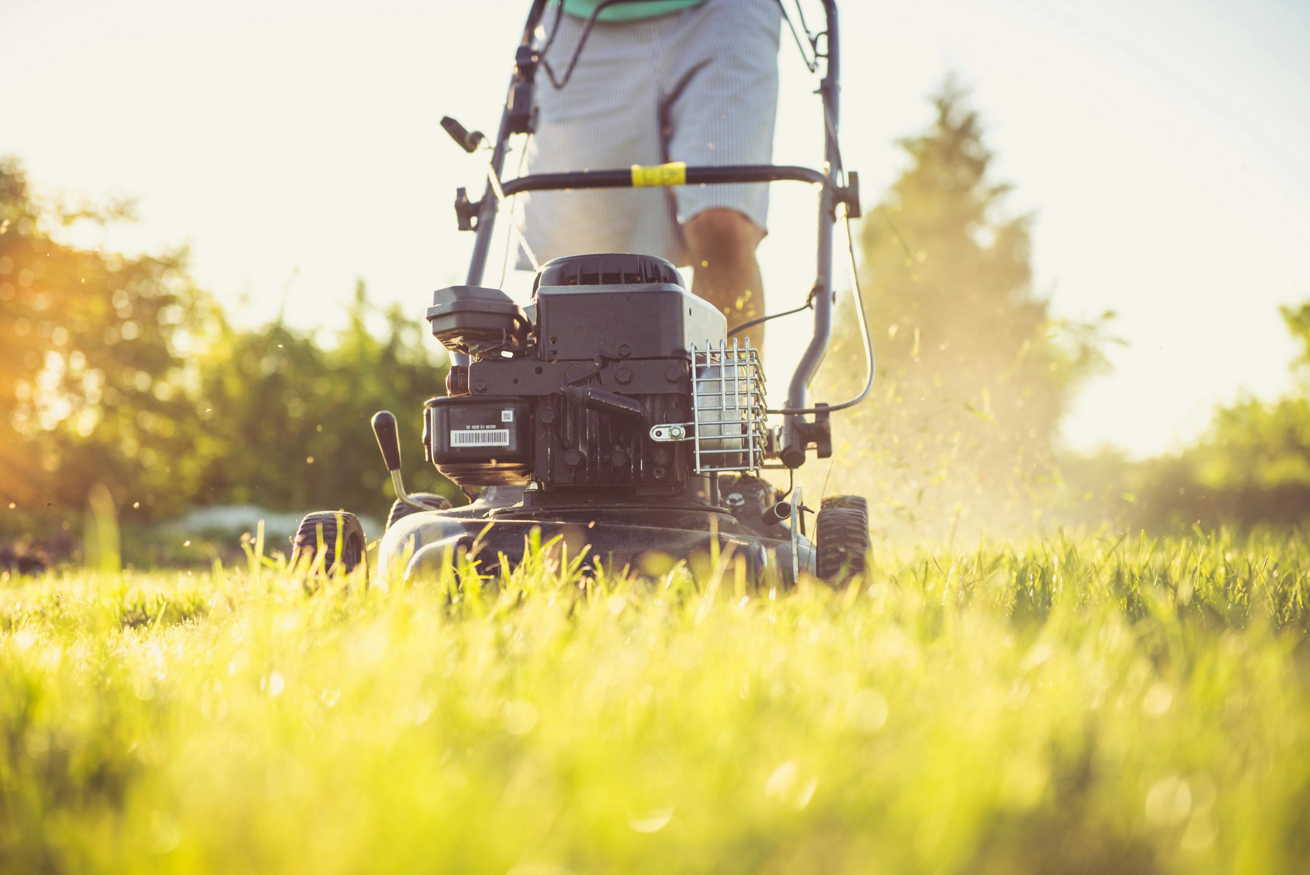 Here are some easy-to-follow guidelines to help you find the best mowing routine for your lawn.