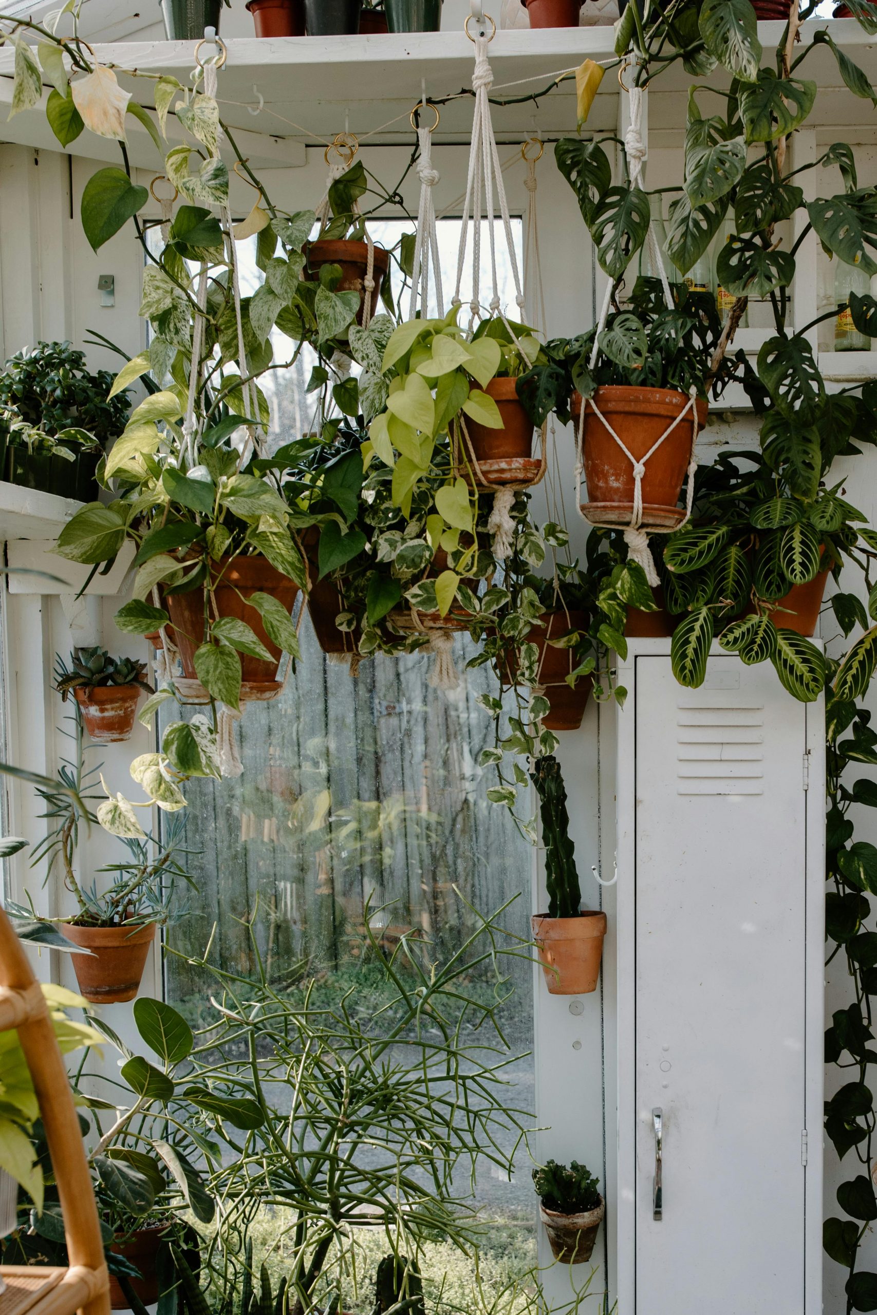 Vertical Gardens