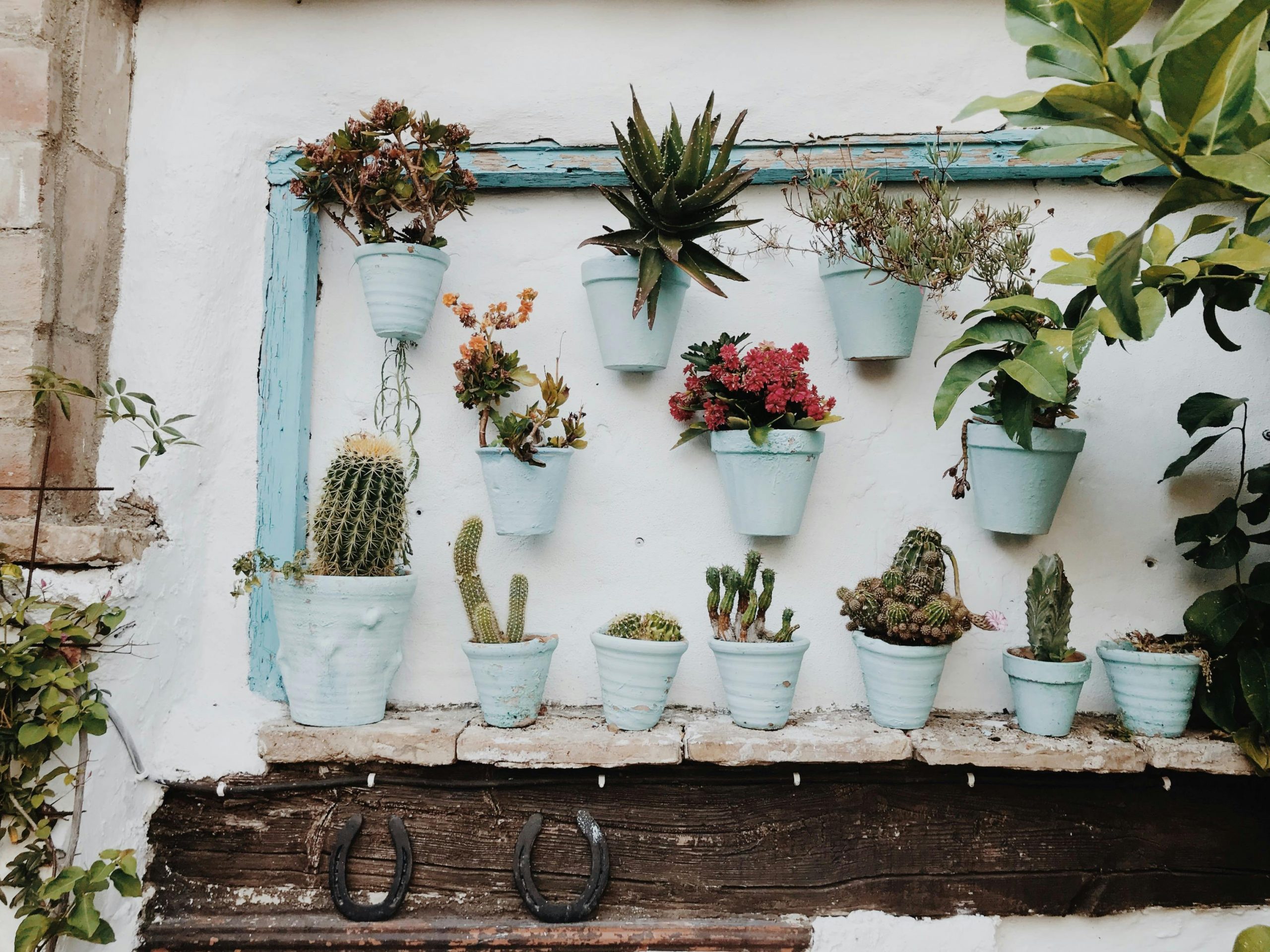 Vertical Gardens 