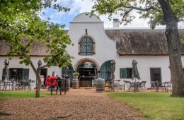 Constantia: Cape Town's hub of historical vineyards, high-end properties and nature's hues