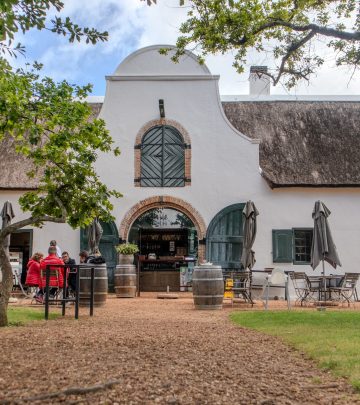 Constantia: Cape Town's hub of historical vineyards, high-end properties and nature's hues