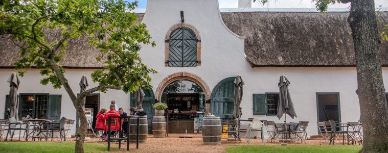 Constantia: Cape Town's hub of historical vineyards, high-end properties and nature's hues