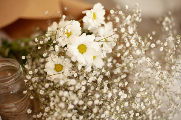 View of small white baby's breath flowers in a floral bouquet 