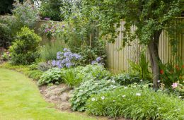 Perennial flower bed growing under a tree in a beautiful garden