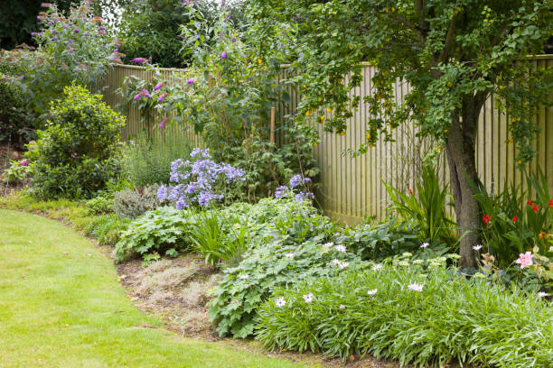 Perennial flower bed growing under a tree in a beautiful garden