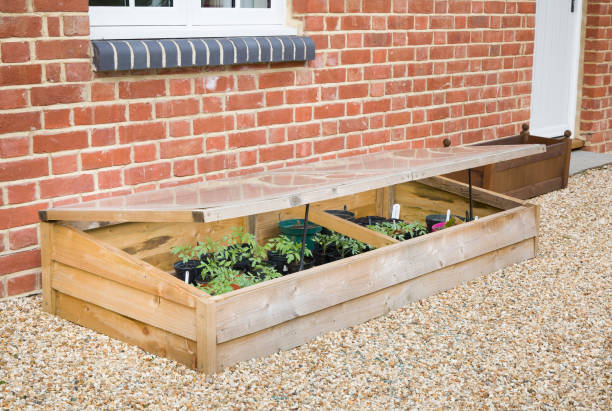 Cold frame with vegetable plants against a wall