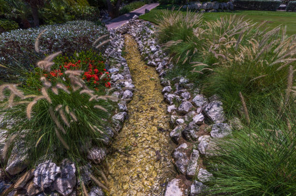 Streambed garden with luscious flowers next to it. Nature landscape