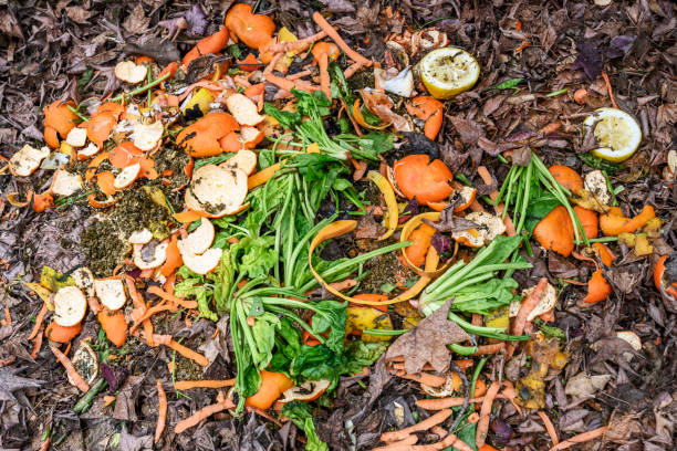 Homemade garden compost pile on your garden soil