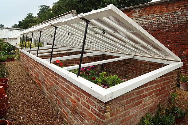 Permanently built open cold frames with flowers