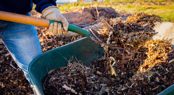 Adding organic mulch for sustainable farming method to improve soil health