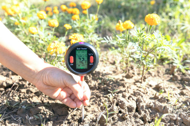 Soil Tester Measuring temperature, moisture content of the soil. 