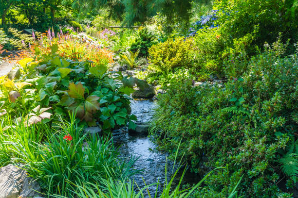 Add the element of water to your backyard with this DIY streambed