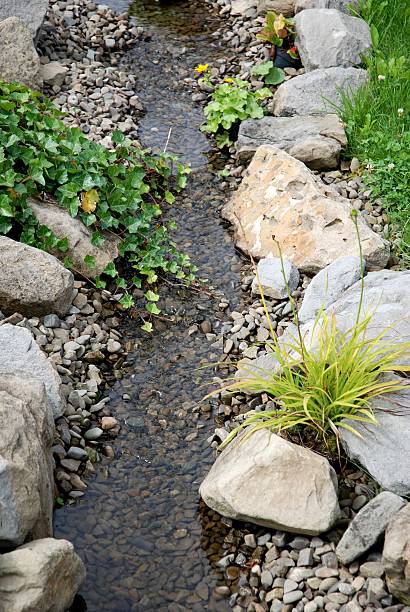 Garden streambed next to rocks and plants