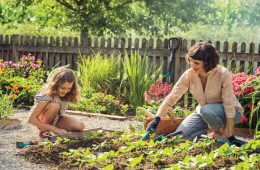 Less gravel, more greenery - inspiration for challenging and compact gardens