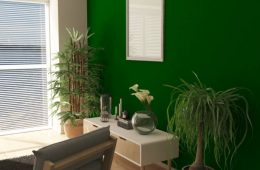 Green Accent wall with plants