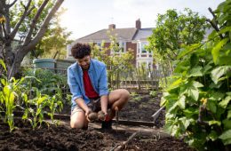 Boy farmer monitoring his crops in the garden