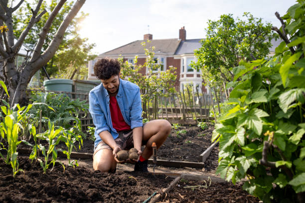 Boy farmer monitoring his crops in the garden