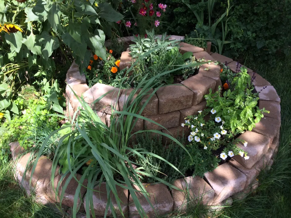 Herb spiral garden