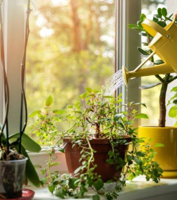 hand with water can watering indoor plants on windowsill