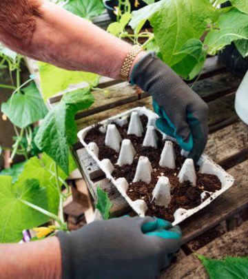 Lady putting seeds into an egg carton which is filled with compost.