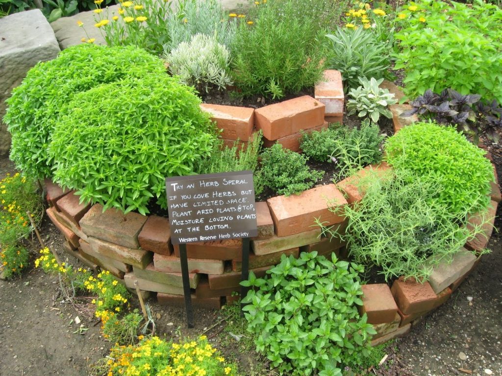 Spiral herb garden