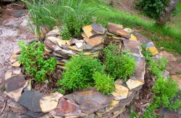 Spiral herb garden